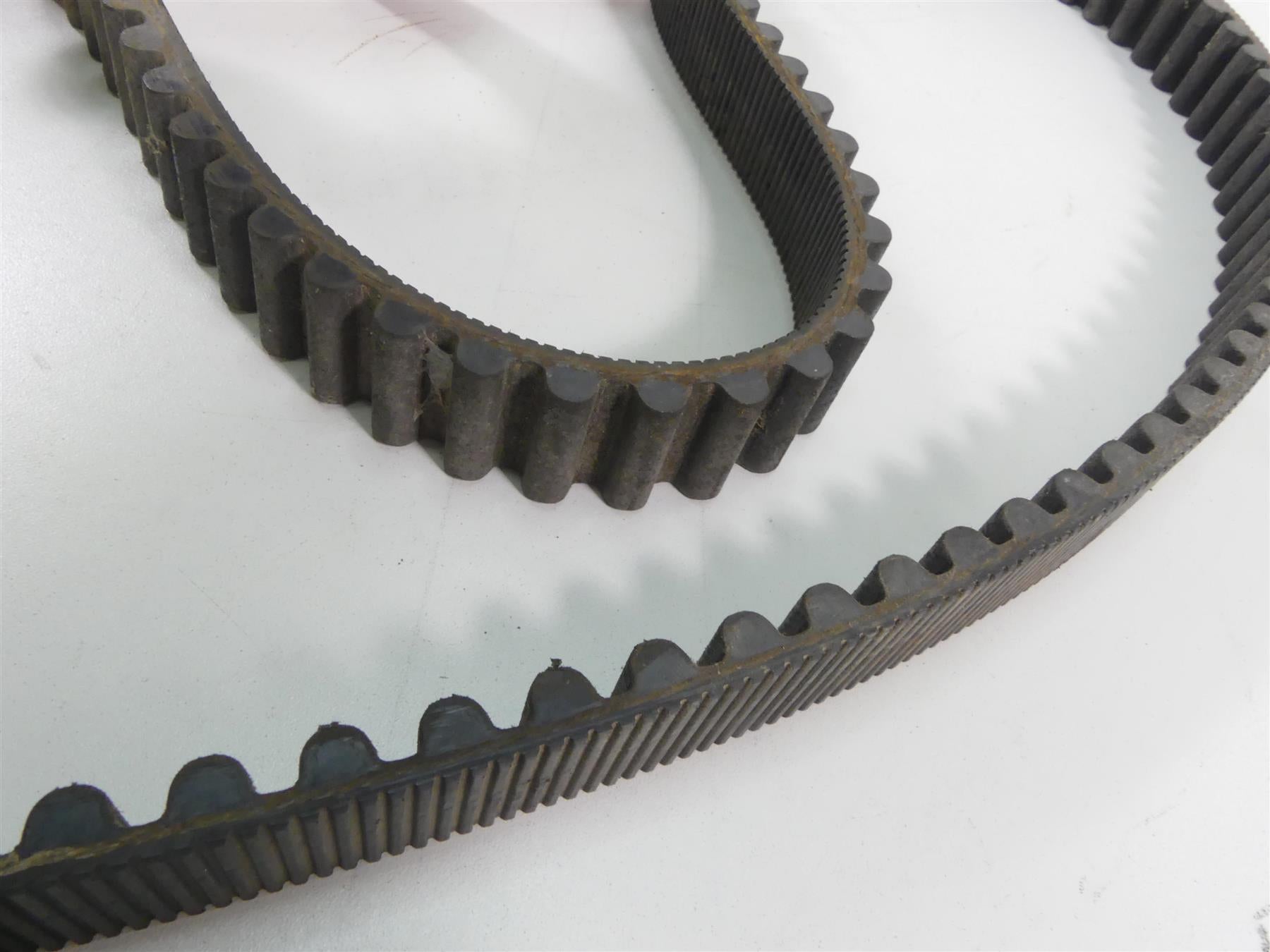 1999 Harley Davidson Sportster XL1200 Rear Main Drive Belt 128T 1 1/8" 40022-91 {{ shop.shopifyCountryName }} - Mototech271
