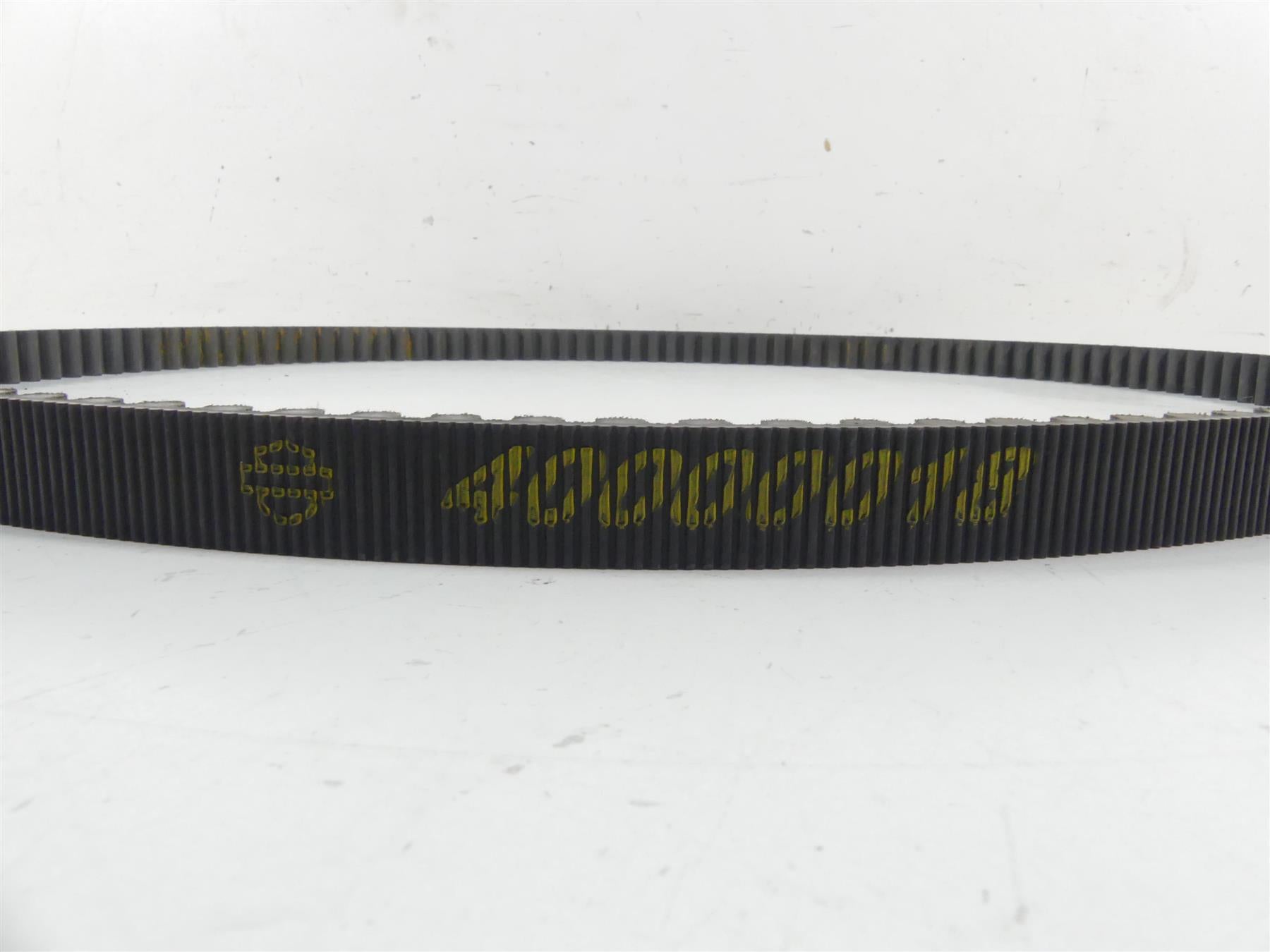 2021 Harley Softail FLSB Sport Glide Rear Drive Belt 134T 24mm 40000018 {{ shop.shopifyCountryName }} - Mototech271