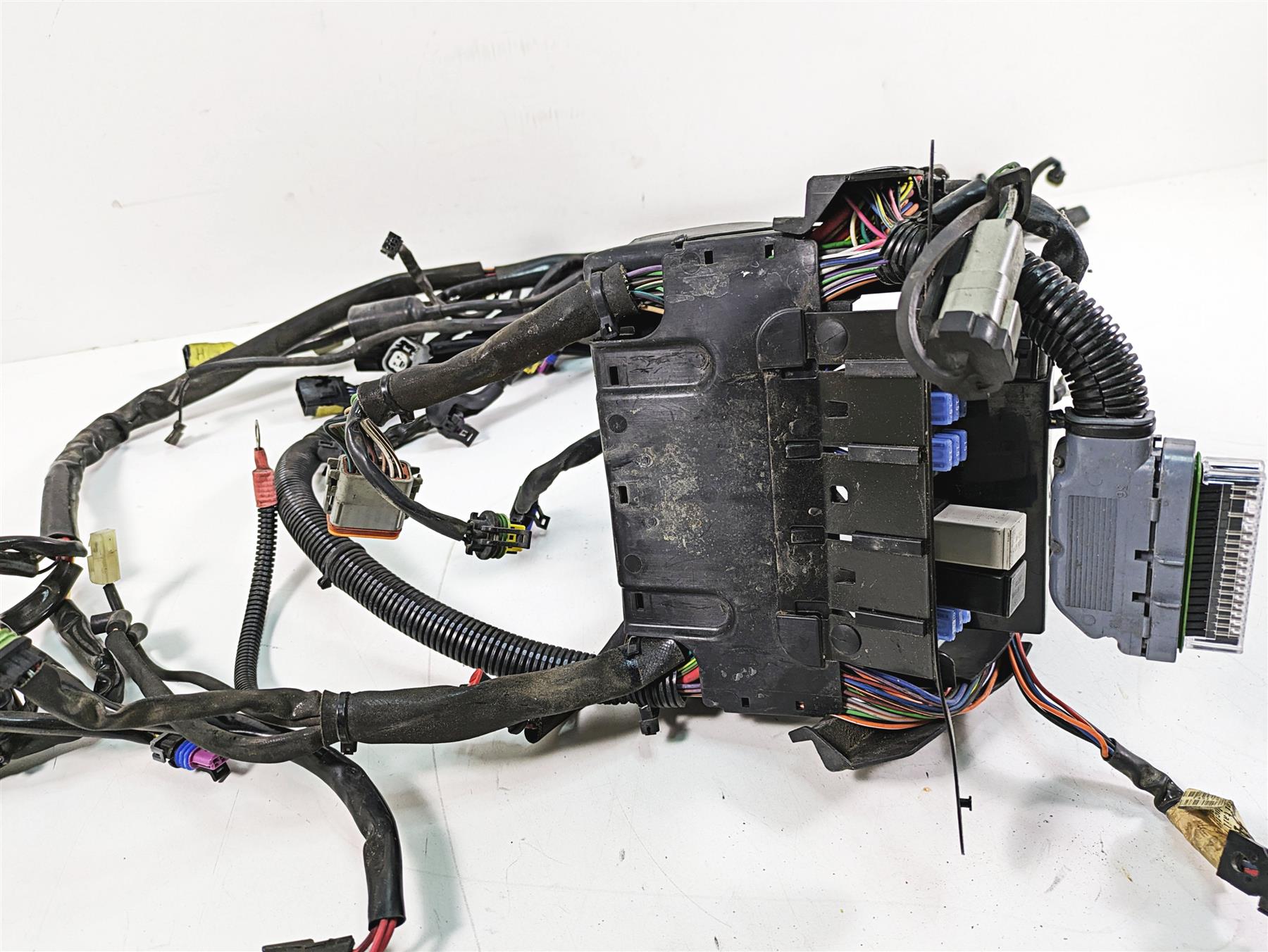 2009 Harley Softail FLSTSB Cross Bones Wiring Harness Loom No Cuts 70431-08A {{ shop.shopifyCountryName }} - Mototech271