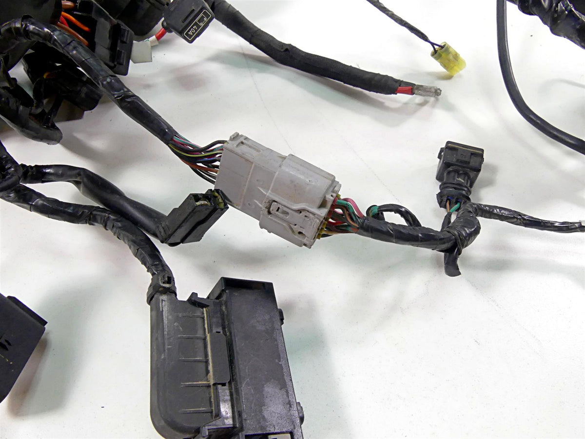 2022 Triumph Speed Triple 1200 RS Wiring Harness Loom -No Cuts T2505123 {{ shop.shopifyCountryName }} - Mototech271