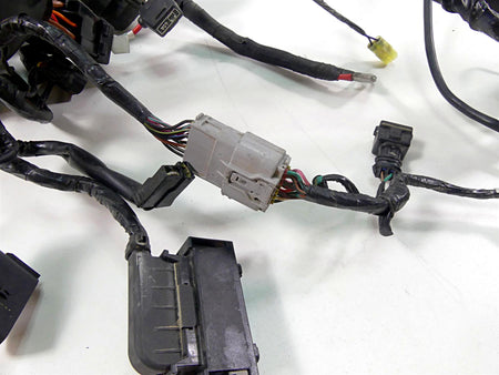 2022 Triumph Speed Triple 1200 RS Wiring Harness Loom -No Cuts T2505123 {{ shop.shopifyCountryName }} - Mototech271