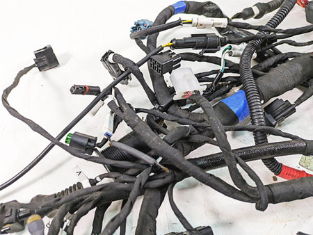 2020 Ducati Scrambler 1100 Sport Pro Wiring Harness Loom -No Cuts 5101F841E {{ shop.shopifyCountryName }} - Mototech271
