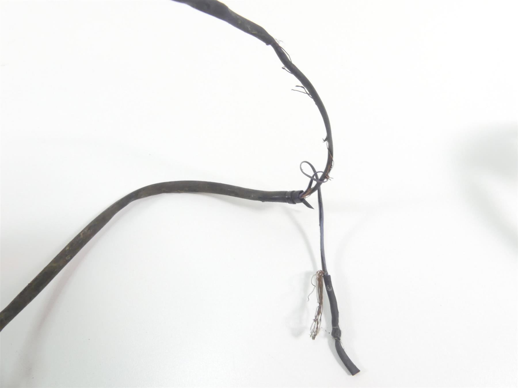 1999 Harley Dyna FXDL Low Rider Taillight Tail Light & Wiring 68140-04 {{ shop.shopifyCountryName }} - Mototech271