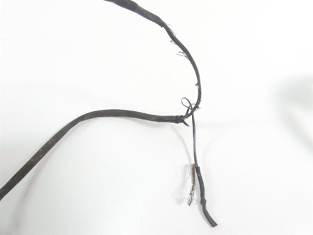 1999 Harley Dyna FXDL Low Rider Taillight Tail Light & Wiring 68140-04 {{ shop.shopifyCountryName }} - Mototech271