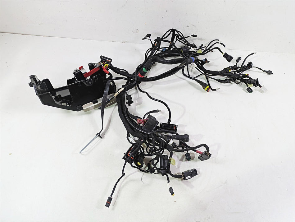 2022 Ducati Scrambler Desert Sled Main Wiring Harness Loom - Read 5101E241C {{ shop.shopifyCountryName }} - Mototech271