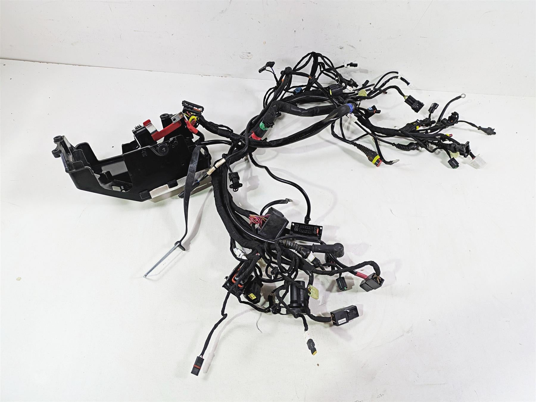 2022 Ducati Scrambler Desert Sled Main Wiring Harness Loom - Read 5101E241C | Mototech271