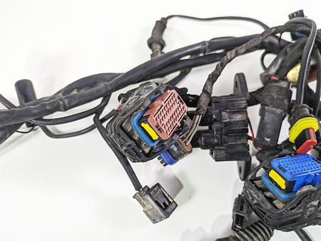 2009 Ducati Multistrada 1100 S Main Wiring Harness Loom - No Cut 51014732A {{ shop.shopifyCountryName }} - Mototech271