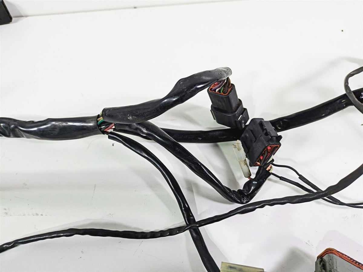 2003 Harley Softail FXSTDI Deuce 100th Wiring Harness Loom - Read 70431-03 {{ shop.shopifyCountryName }} - Mototech271