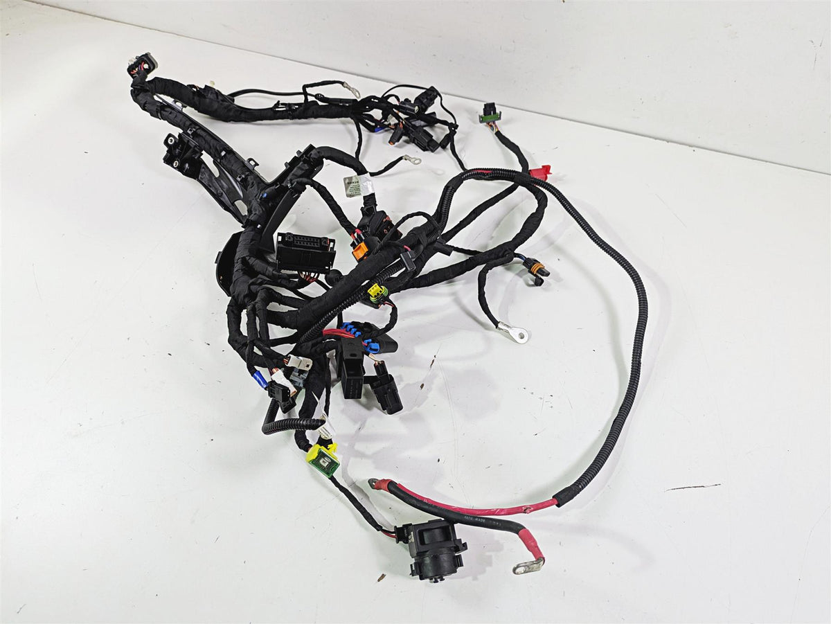 2024 Harley Sportster RH975 S Main Wiring Harness Loom - READ 69203115A {{ shop.shopifyCountryName }} - Mototech271