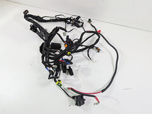 2024 Harley Sportster RH975 S Main Wiring Harness Loom - READ 69203115A