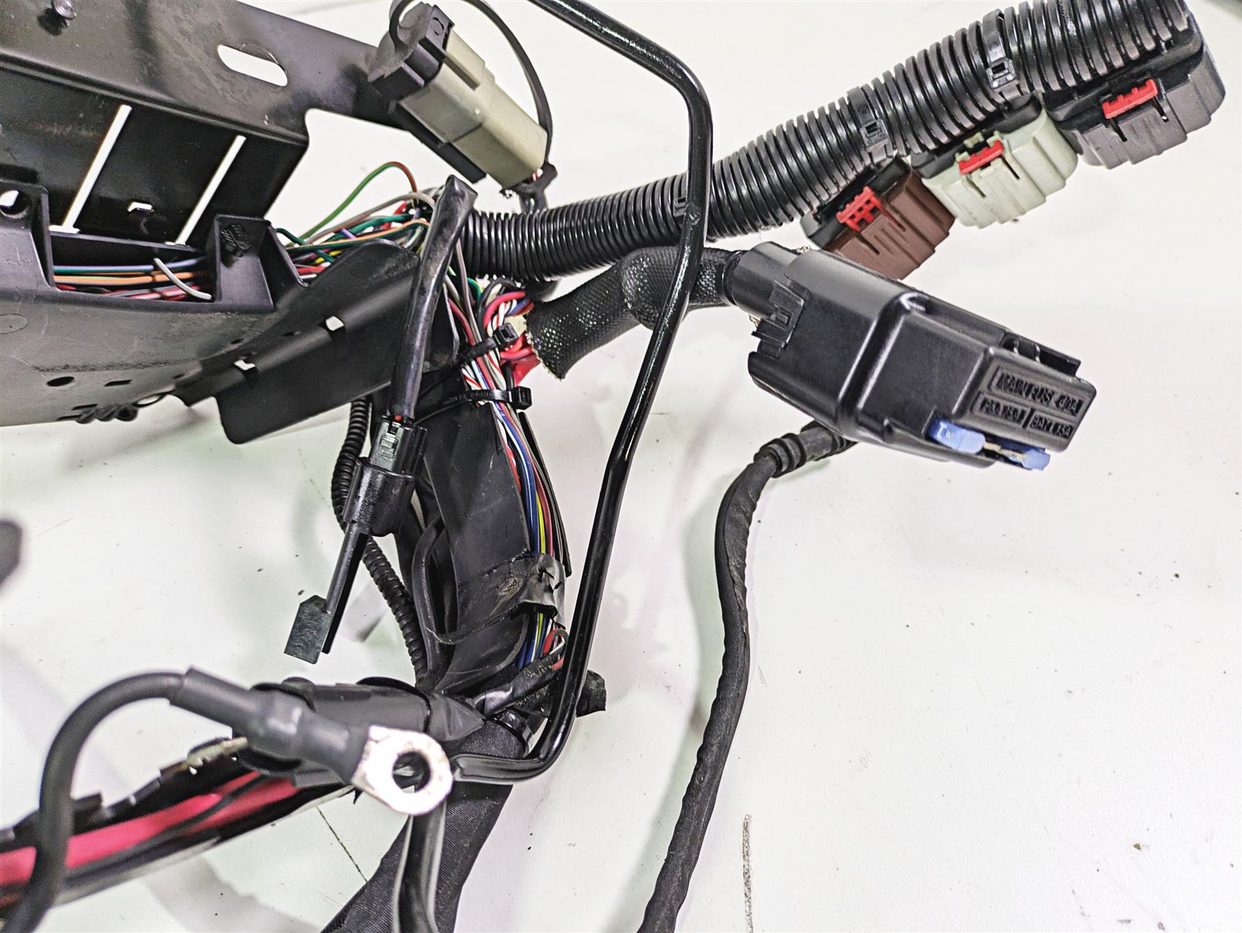 2017 Harley FLS Softail Slim Main Wiring Harness Loom - Non Abs -No Cut 69201434 {{ shop.shopifyCountryName }} - Mototech271
