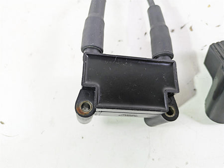 2015 Harley FXDL Dyna Low Rider Delphi Ignition Coil Wires Plugs 31696-07A {{ shop.shopifyCountryName }} - Mototech271