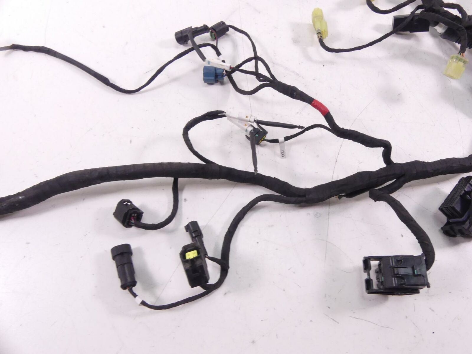 2019 Ducati Supersport 939 S Main Wiring Harness Loom Cable - No Cuts 5101B191D {{ shop.shopifyCountryName }} - Mototech271