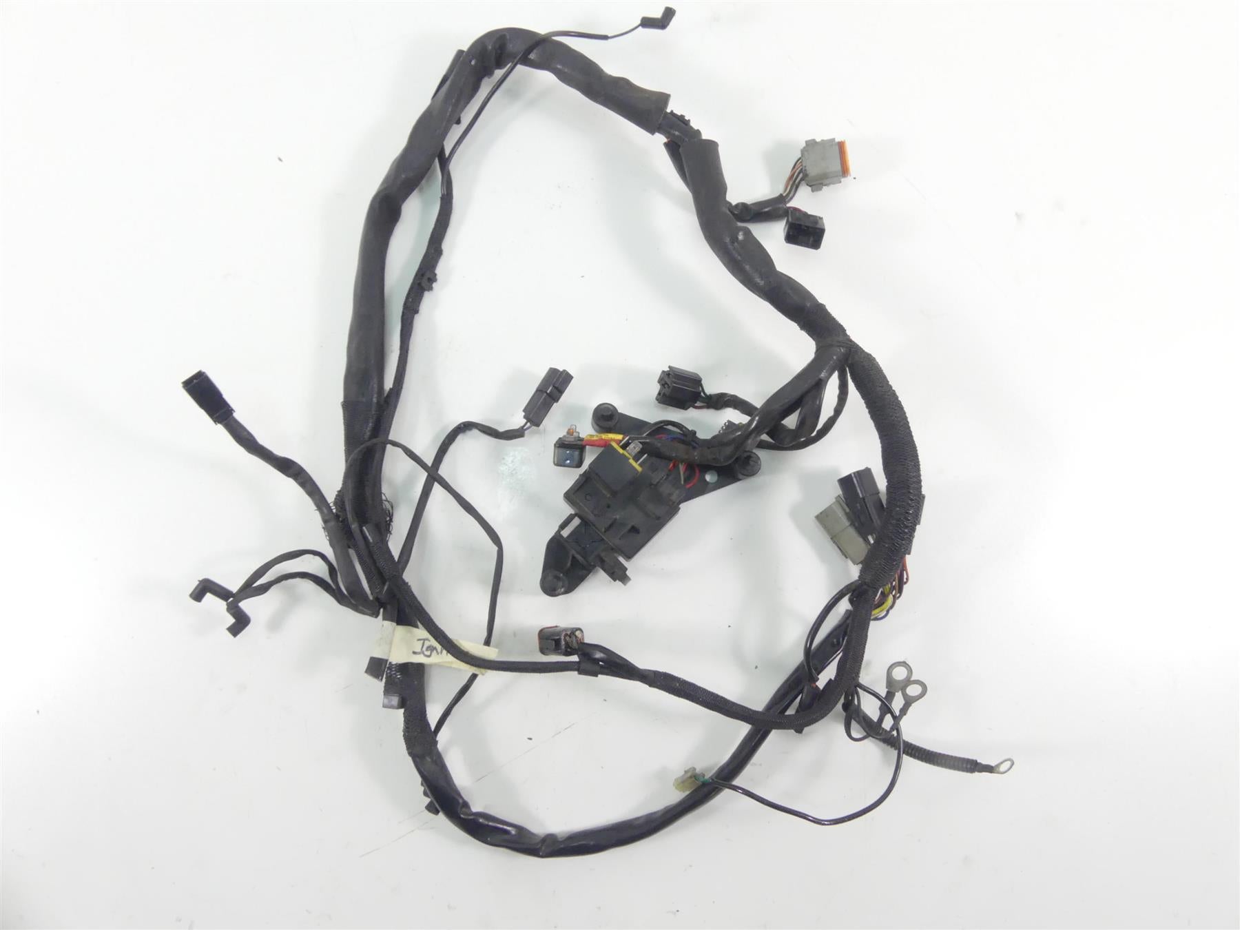 2003 Harley Sportster XL1200 C 100th Anniv Main Wiring Harness - Read 70135-99 {{ shop.shopifyCountryName }} - Mototech271