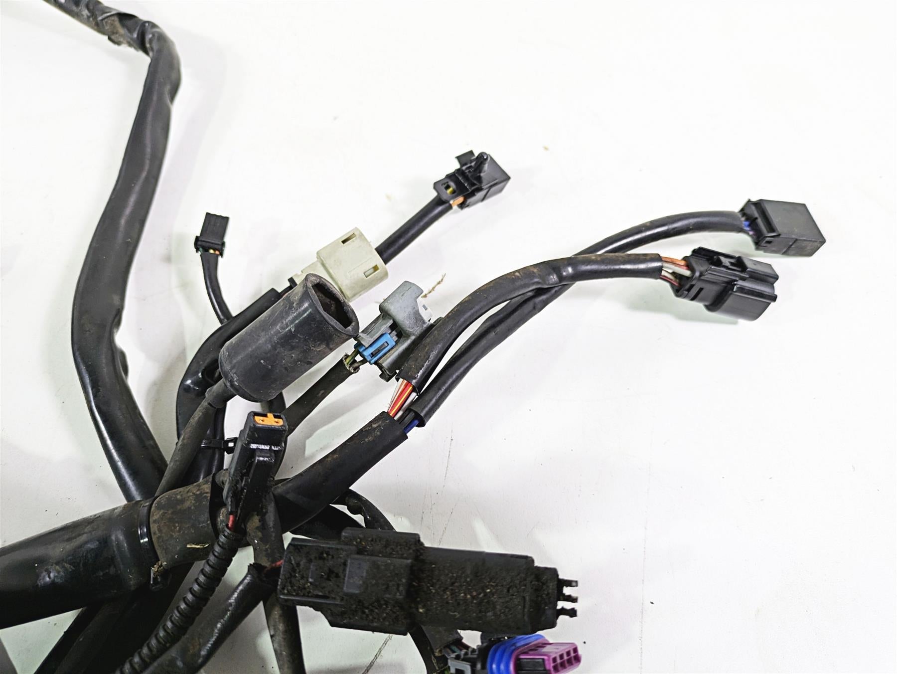 2008 Harley FLSTSB Cross Bones Main Wiring Harness Loom- Read 70431-08A {{ shop.shopifyCountryName }} - Mototech271