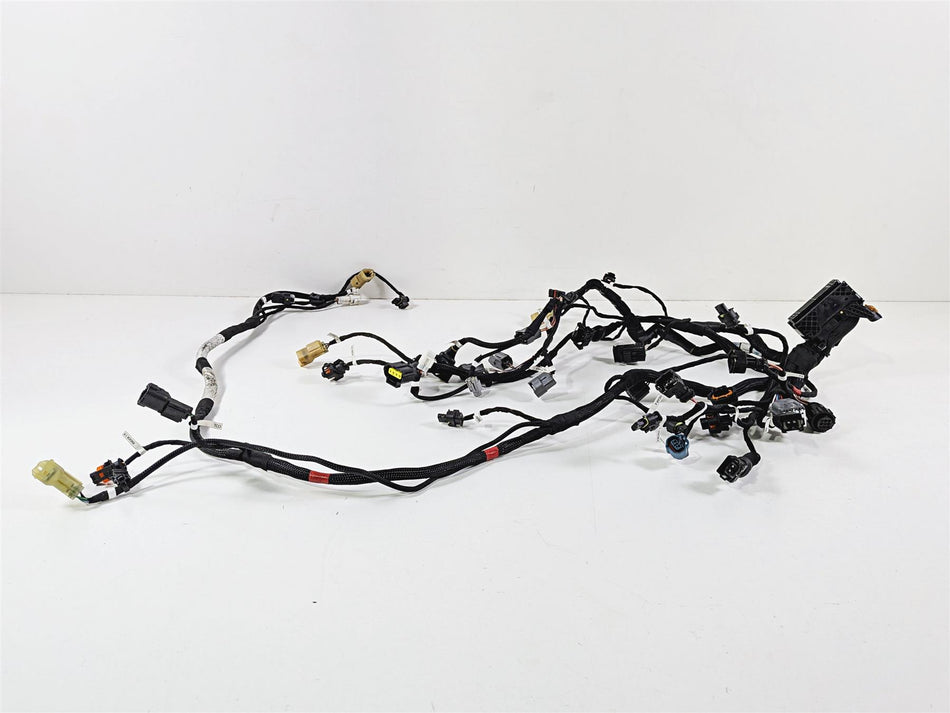 2023 Ducati Streetfighter V4 Engine Wiring Harness Loom - No Cuts 5101-Mototech271
