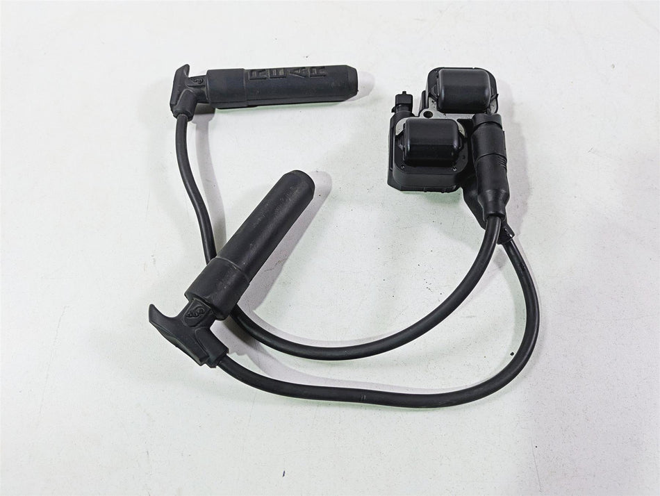 2017 Indian Chieftain Limited Ignition Coil & Wire Set 4010425 2876049 {{ shop.shopifyCountryName }} - Mototech271