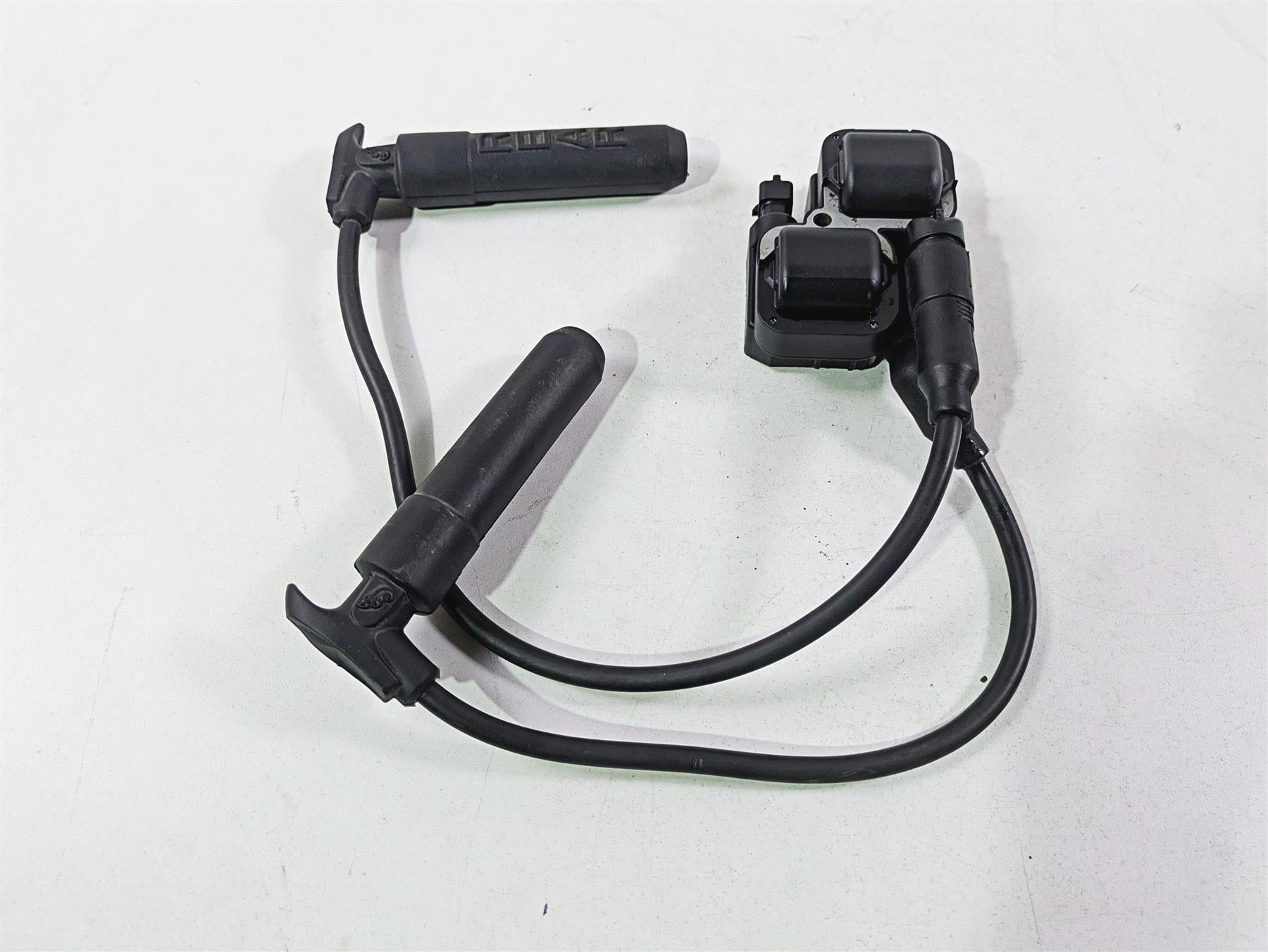 2017 Indian Chieftain Limited Ignition Coil & Wire Set 4010425 2876049