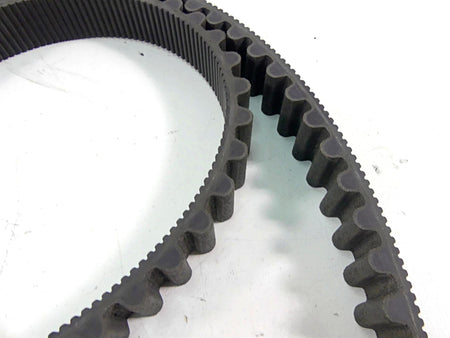 2015 Harley Davidson VRSCDX Night Rod Sp Rear Drive Belt 151T 40144-07 {{ shop.shopifyCountryName }} - Mototech271