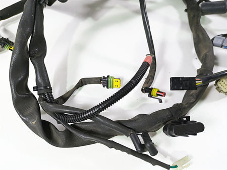 2009 Harley FLSTSB Cross Bones Wiring Harness Loom - No Cut 70431-08A {{ shop.shopifyCountryName }} - Mototech271