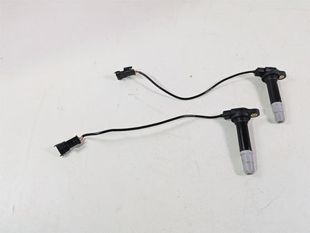 2013 Ducati Hypermotard 821 SP Beru Ignition Coil Set 38010145B {{ shop.shopifyCountryName }} - Mototech271