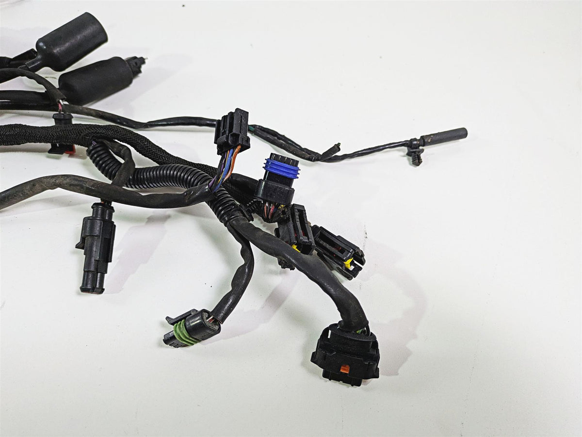 2009 Harley XR1200 Sportster Main & Engine Wiring Harness - Read 70225-08 {{ shop.shopifyCountryName }} - Mototech271