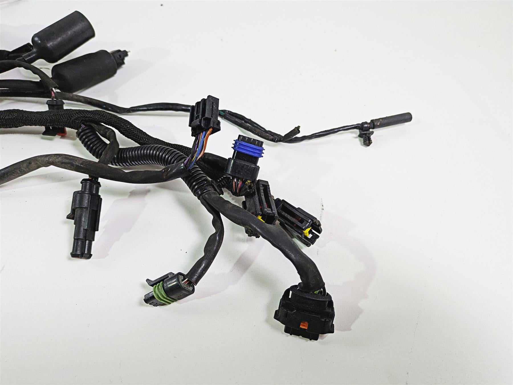 2009 Harley XR1200 Sportster Main & Engine Wiring Harness - Read 70225-08 {{ shop.shopifyCountryName }} - Mototech271