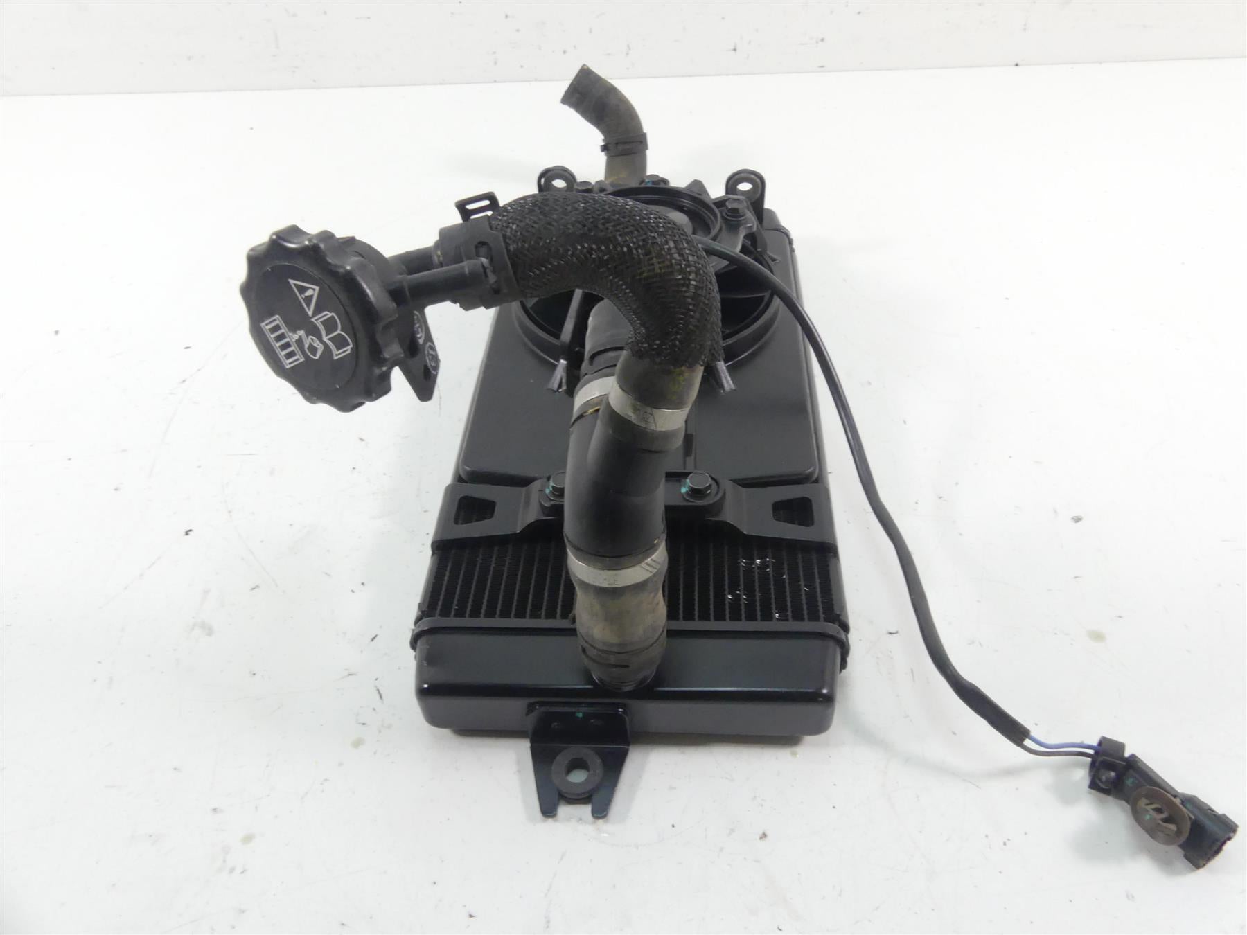 2017 Triumph Thruxton 1200 R Radiator Fan Guard Reservoir Hoses Set T2101333 {{ shop.shopifyCountryName }} - Mototech271