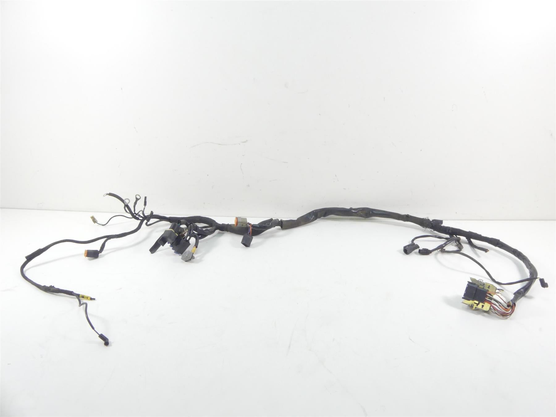1999 Harley Davidson Sportster XL1200 Main Wiring Harness Loom - Read 70135-99 {{ shop.shopifyCountryName }} - Mototech271