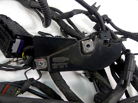 2016 BMW R1200GS Adv K51 Main & Engine Wiring Harness 61118562116 12518544470 {{ shop.shopifyCountryName }} - Mototech271