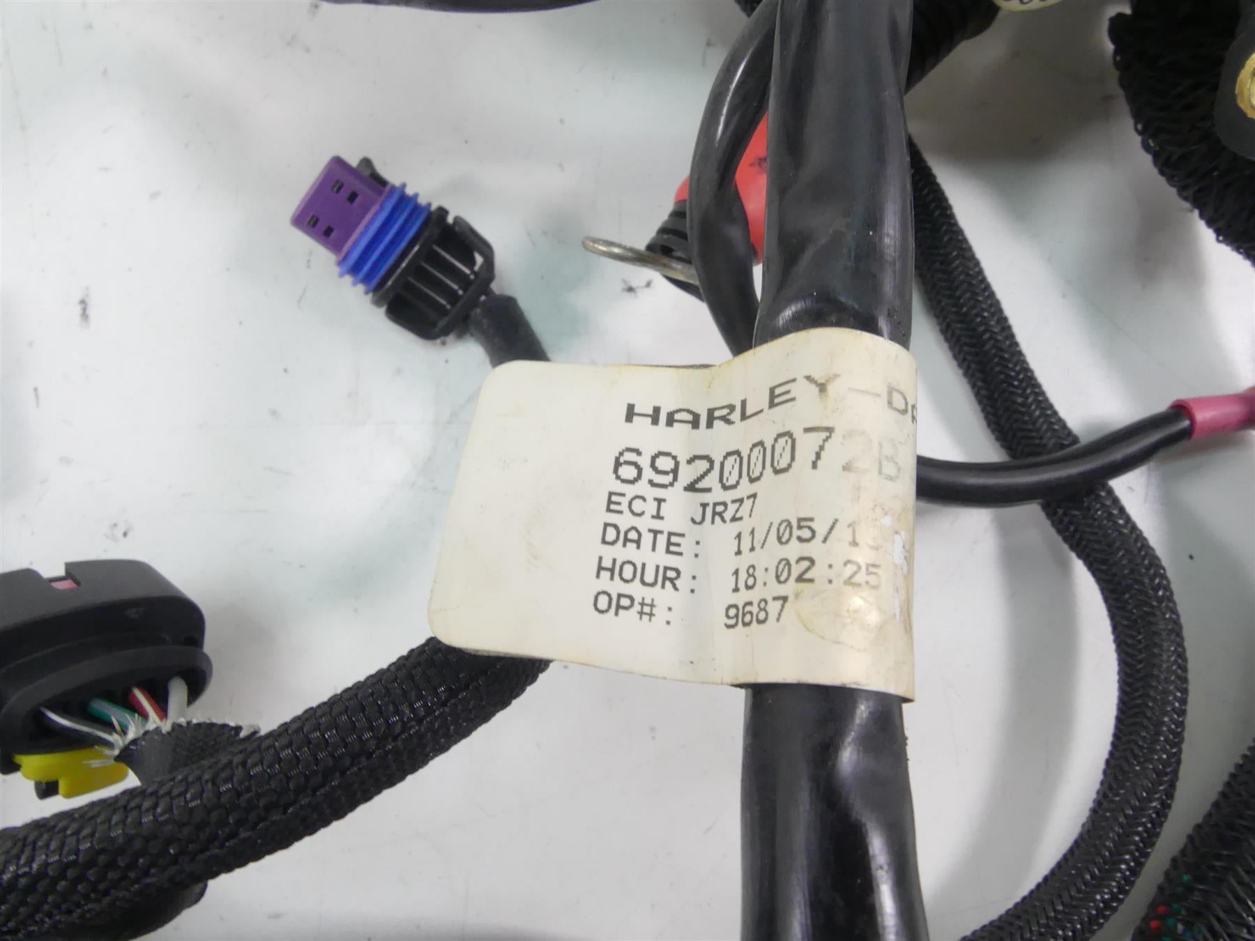 2020 Harley Sportster XL1200 NS Iron Main Wiring Harness Loom - No Abs 69200072B {{ shop.shopifyCountryName }} - Mototech271