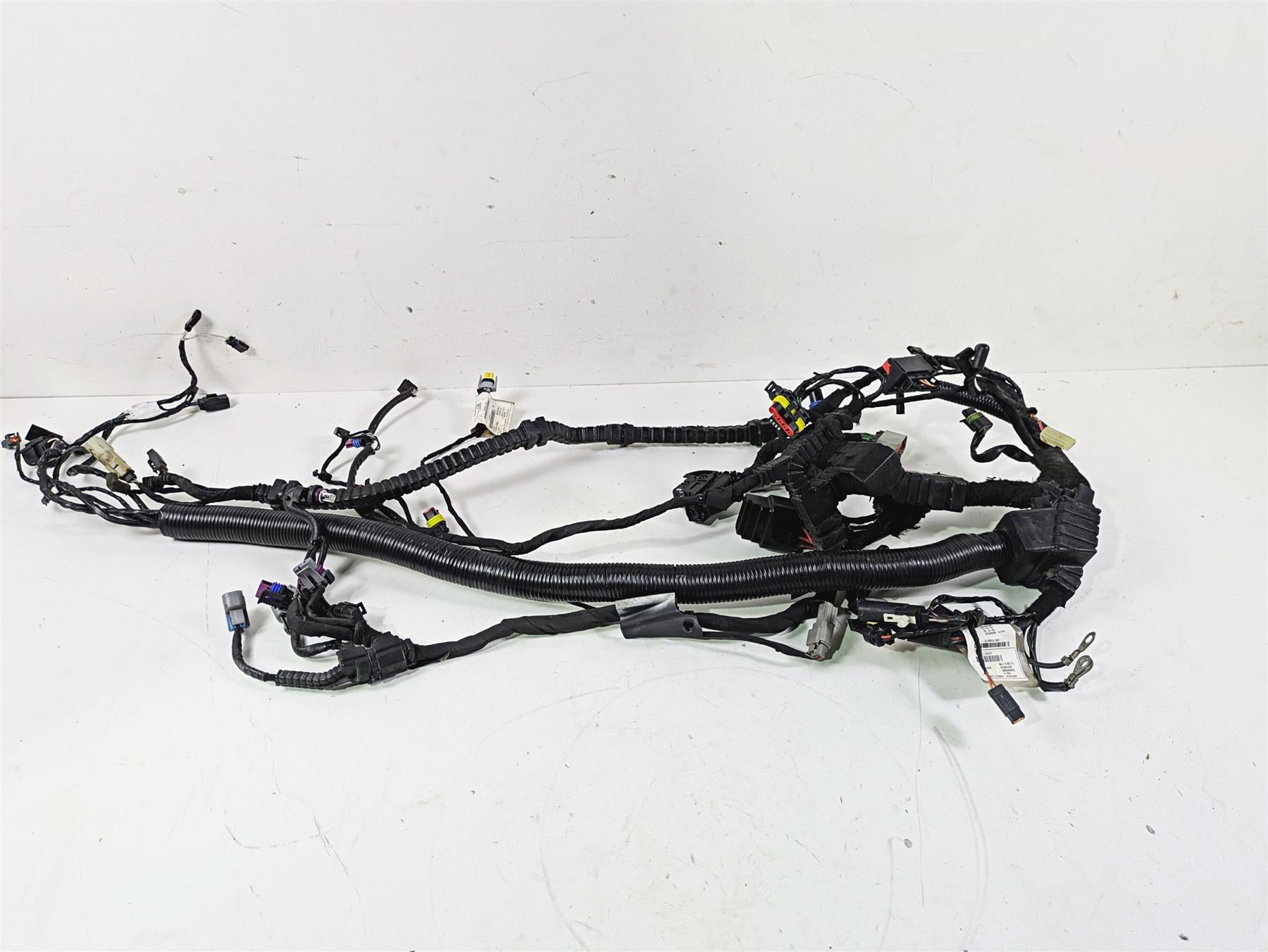 2016 Harley FXDWG Dyna Wide Glide Main Wiring Harness Loom Abs -Read 69201534 {{ shop.shopifyCountryName }} - Mototech271