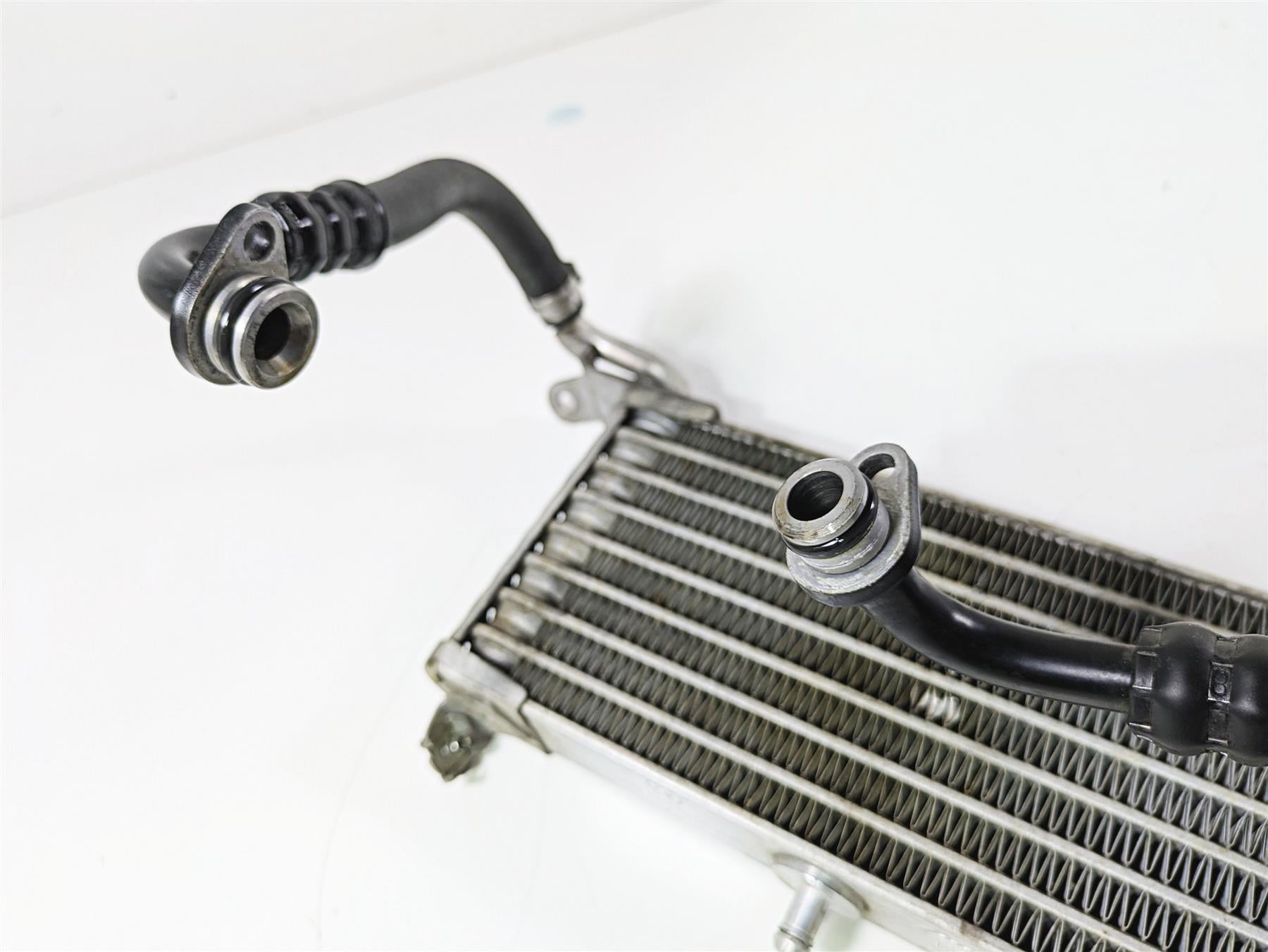 2019 BMW S1000XR K49 Oil Cooler & Lines Straight No Leaks 17218545633 {{ shop.shopifyCountryName }} - Mototech271