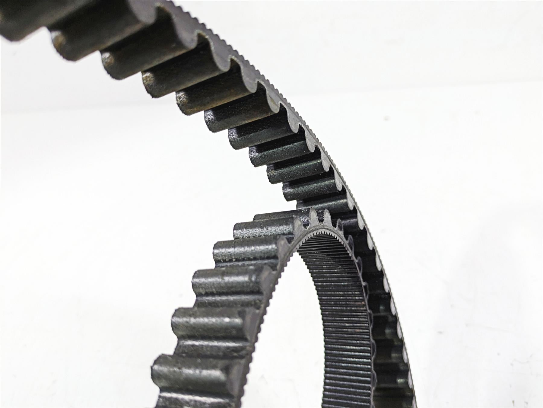 2019 Harley FLHCS Softail Heritage Rear Main Drive Belt 134T 40000018 {{ shop.shopifyCountryName }} - Mototech271
