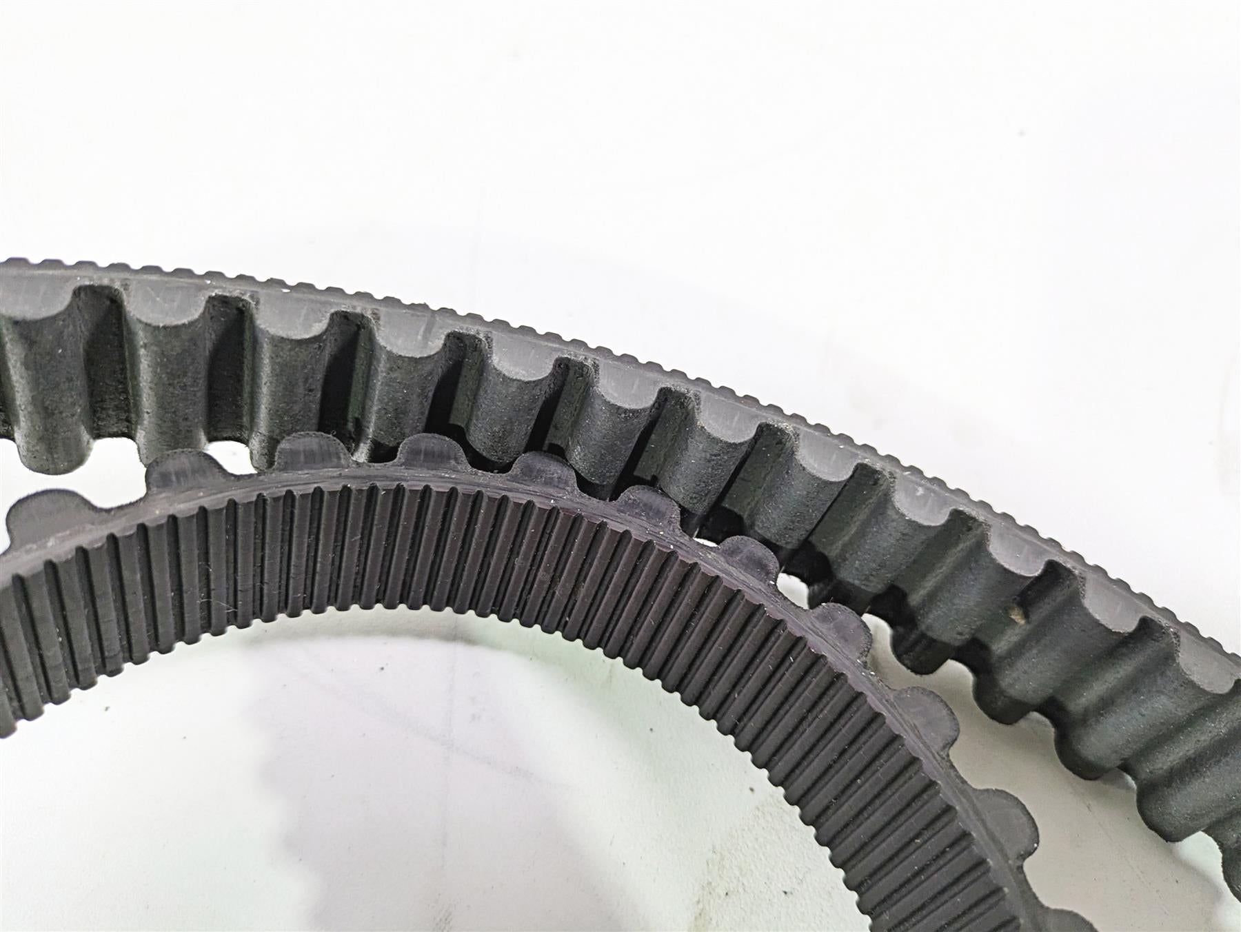 2016 Harley VRSCDX Night Rod Rear Drive Belt 151T 1" 40144-07 {{ shop.shopifyCountryName }} - Mototech271