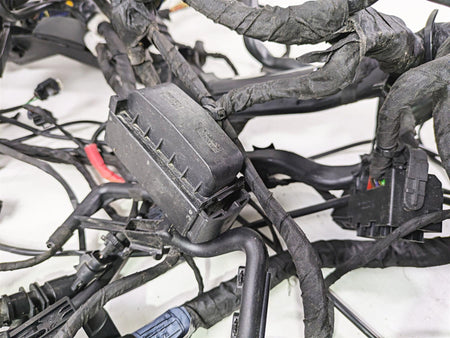 2021 BMW R1250GS K51 Adv Main & Engine Wiring Harness ESA Read 61111683766 {{ shop.shopifyCountryName }} - Mototech271