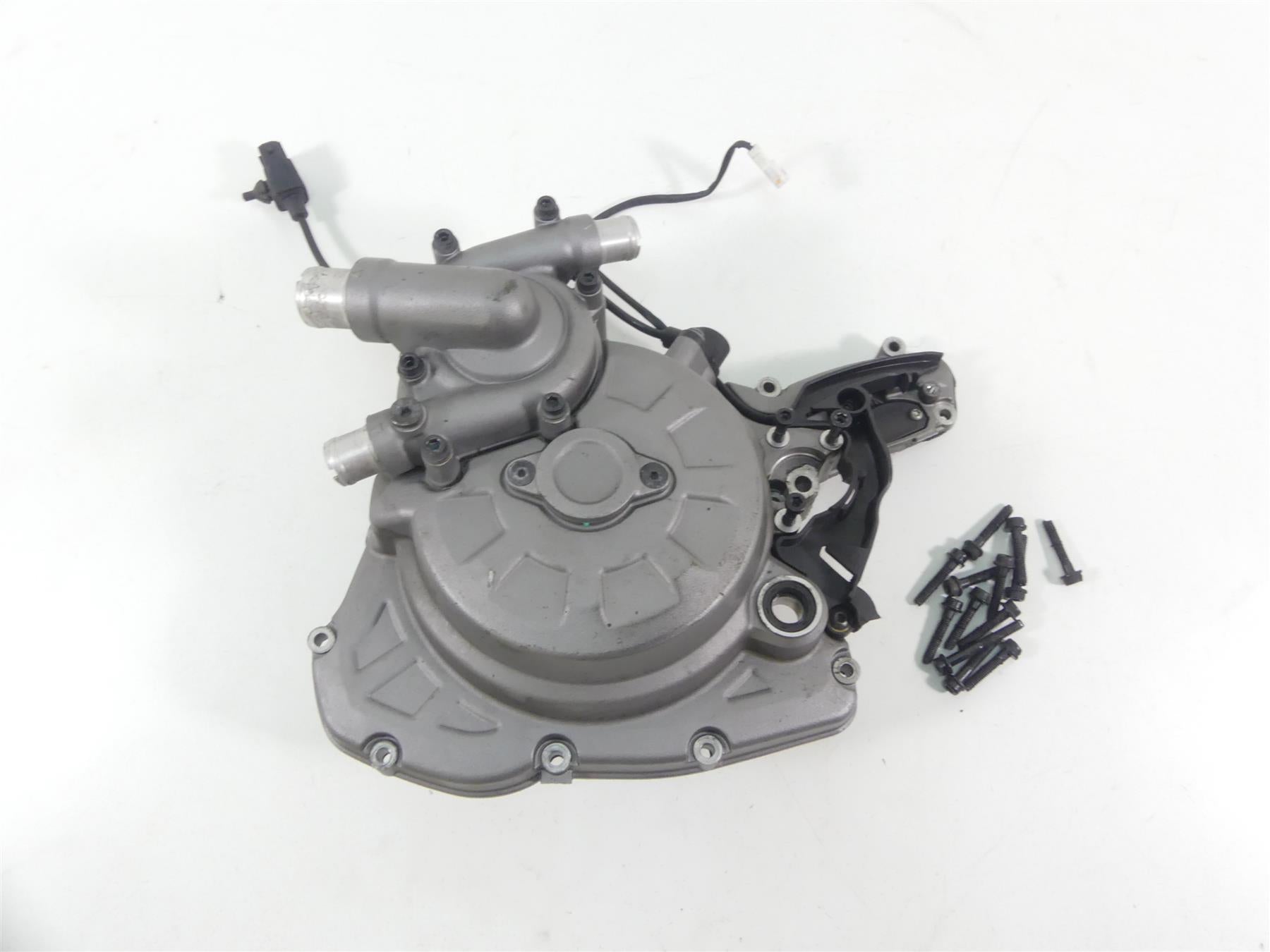 2019 Ducati Multistrada 1260 S Pikes Peak Stator Cover & Waterpump 24231011B