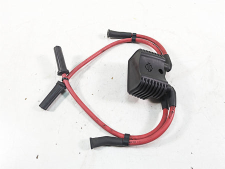 2020 Harley Softail FXBB Street Bob Ignition Coil Wires Plugs 31600067 {{ shop.shopifyCountryName }} - Mototech271