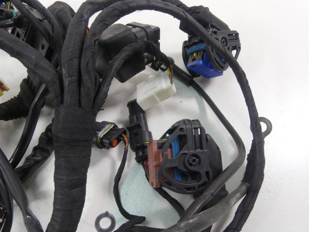 2007 Ducati Sport Classic GT1000 Main Wiring Harness Loom - No Cuts 51013601C {{ shop.shopifyCountryName }} - Mototech271