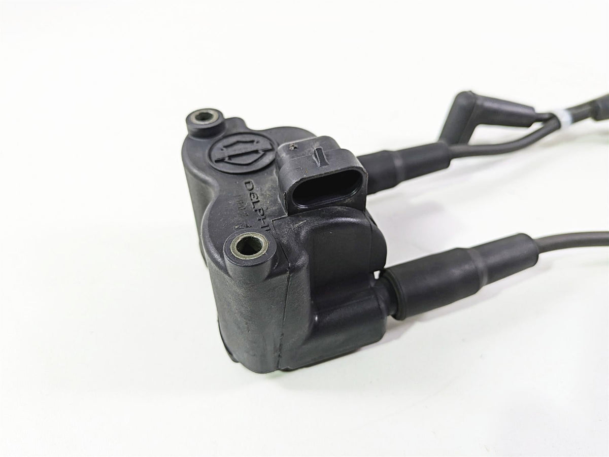 2011 Harley FXDC Dyna Super Glide Delphi Ignition Coil Wires & Plugs 31743-01 {{ shop.shopifyCountryName }} - Mototech271
