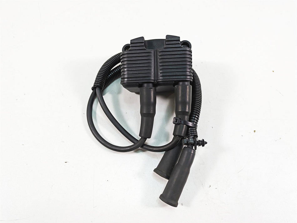 2006 Harley Sportster XL1200 Delphi Ignition Coil Wires & Plugs 31655-99 {{ shop.shopifyCountryName }} - Mototech271