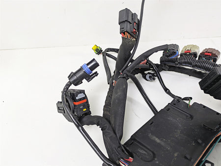 2017 Harley Softail Heritage Classic FLSTC Wiring Harness Loom - Abs 69201428 {{ shop.shopifyCountryName }} - Mototech271