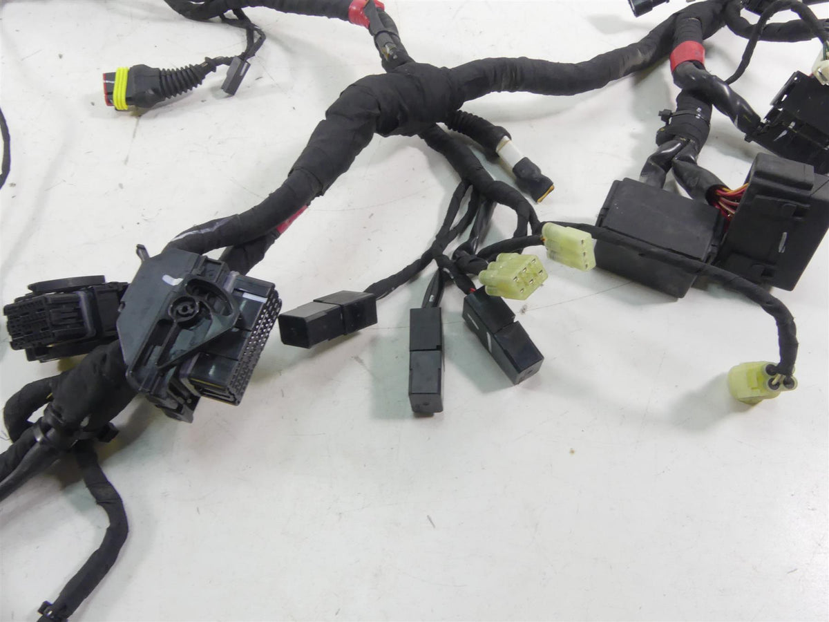 2015 Ducati Monster 1200 S Main Wiring Harness Loom - No Cuts 51019402B-Mototech271