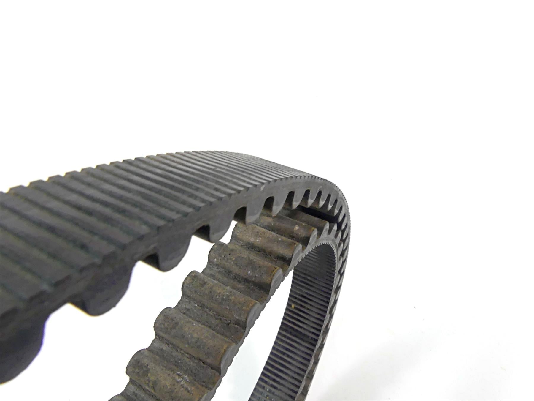 2014 Harley VRSCF Muscle V-Rod Rear Main Drive Belt 151T 40144-07 {{ shop.shopifyCountryName }} - Mototech271