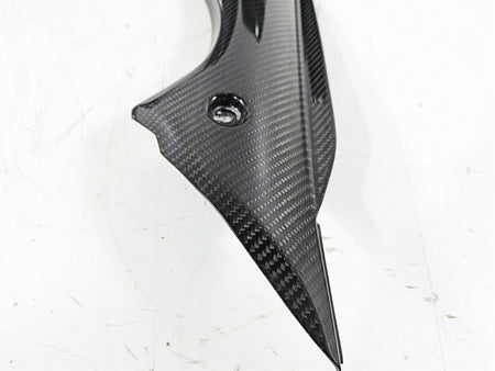 2020 Triumph Daytona 765 Moto2 Front Fairing Infill Carbon Covers T2310047 {{ shop.shopifyCountryName }} - Mototech271