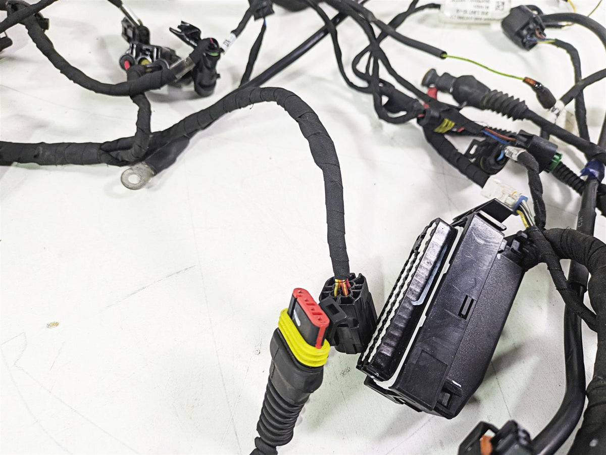 2015 Ducati Hypermotard 821 SP Main Wiring Harness Loom - No Cut 51018451D {{ shop.shopifyCountryName }} - Mototech271