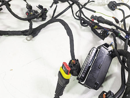 2015 Ducati Hypermotard 821 SP Main Wiring Harness Loom - No Cut 51018451D {{ shop.shopifyCountryName }} - Mototech271