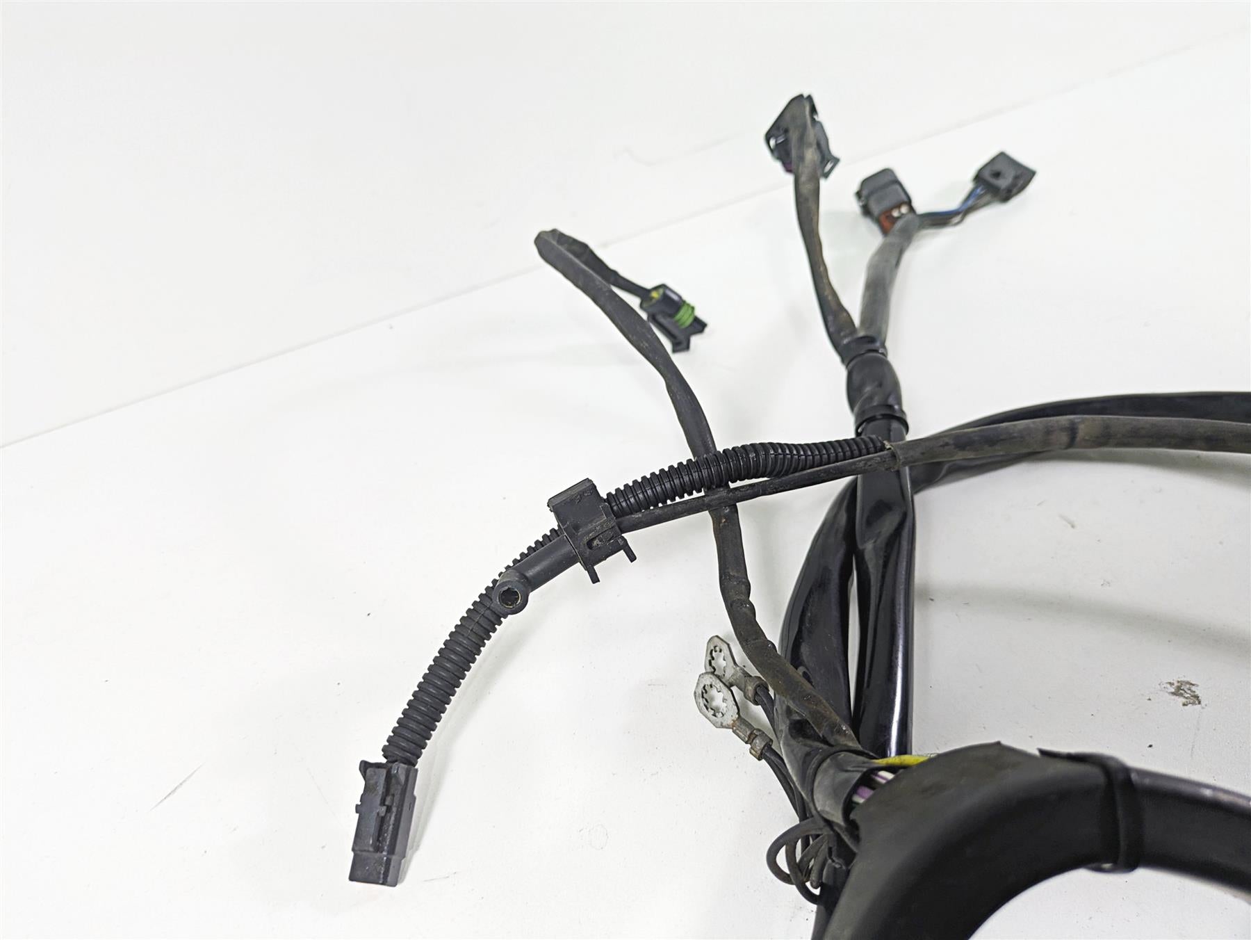 2003 Harley FLSTC Softail Heritage 100th Wiring Harness Loom -Read 70216-03 {{ shop.shopifyCountryName }} - Mototech271