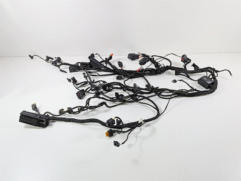 2023 BMW F850GS K81 Main Wiring Harness Loom - No Cuts 61118409327 {{ shop.shopifyCountryName }} - Mototech271