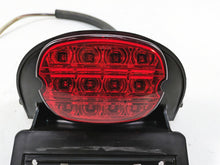 Load image into Gallery viewer, 2006 Harley Softail FXSTSI Springer Led Taillight &amp; License Plate Mount 59995-06
